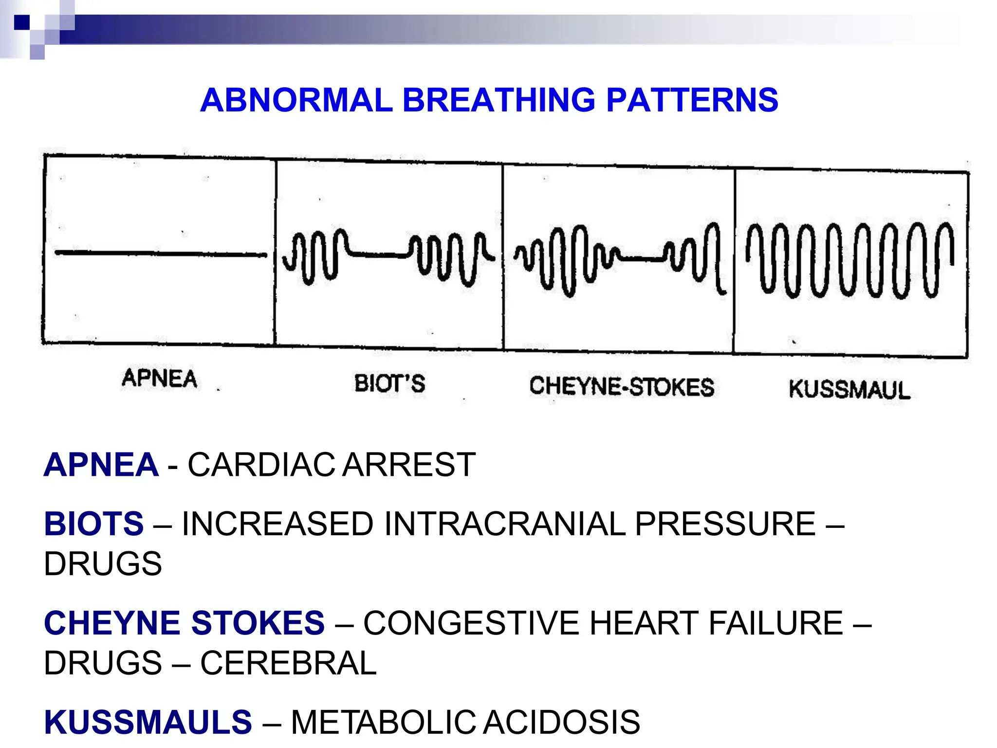 Lecture Respiratory system features. Examination of respiratory system ...