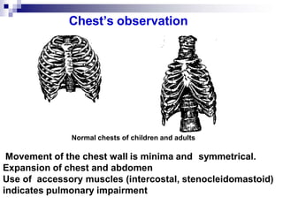 Lecture Respiratory system features. Examination of respiratory system ...