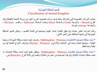 ْ‫تقسيمْالمملكة‬
‫الحيوانية‬
Classification of Animal Kingdom
‫بجانب‬
‫المراتب‬
‫التقسيمية‬
‫التي‬
‫ذكرناها‬
‫سابقا‬
‫توجد...