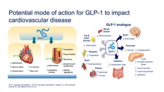 glp 1 youtube Everything You've Been Wondering about GLP-1s, Explained