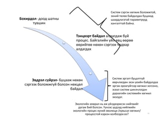 40
Бохирдол- доод шатны
түвшин
Тэнцвэрт байдал алдагдаж буй
процес. Байгалийн үйл явц өөрөө
өөрийгөө нөхөн сэргээх чадвар
алдагдах
Эвдрэл сүйрэл- Буцааж нөхөн
сэргээх боломжгүй болсон нөхцөл
байдал
Экологийн хямрал нь аж үйлдвэржсэн нийгмийг
дагаж бий болсон. Үүнээс үүдээд нийгмийн
экологийн процес хүний эволюци /хувьсал хөгжил/
процесстой хэрхэн холбогдох вэ?
Систем эргэлт буцалтгүй
өөрчлөгдөн эхэн үеийн байдалдаа
эргэж орохгүйгээр хөгжил зогсоно,
эсвэл систем шинэчлэгдэн
дараагийн системийн хөгжил
эхэлдэг.
Систем сэргэн хөгжих боломжтой,
эхний төлөв байдалдаа буцахад
шаардлагатай параметрууд
хангалттай байна.
 