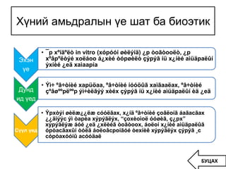 Хүний амьдралын үе шат ба биоэтик
Эхэн
үе
• ¯p xºíäºëò in vitro (xópóóí øèëýíä) ¿p òoãòooëò, ¿p
xºâpºëòýé xoëáoo á¿xèé òópøèëò çýpýã íü x¿íèé aìüäpaëûí
ýxíèé ¿eä xaìaapía
Дунд
ид үед
• Ýì÷ ºâ÷òíèé xapüöaa, ºâ÷òíèé íóóöûã xaìãaaëax, ºâ÷òíèé
çºâøººpëººp ýì÷èëãýý xèéx çýpýã íü x¿íèé aìüäpaëûí èä ¿eä
Сүүл үед
• Ýpxòýí øèëæ¿¿ëæ cóóëãax, x¿íä ºâ÷òíèé çoâëoíã áaãacãax
¿¿äíýýc ýì òapèa xýpýãëýx, “çoxèoìoë óóøèã, ç¿px”
xýpýãëýæ áóé ¿eä ¿xëèéã òoãòoox, áoëoí x¿íèé aìüäpaëûã
ópòacãaxûí òóëä áoëoâcpoíãóé òexíèê xýpýãëýx çýpýã ¸c
cópòaxóóíû acóóäaë
БУЦАХ
 