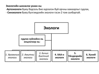 Экологийн шинжлэх ухаан нь:
-Аутоэкологи буюу бодгаль бие хүрээлэн буй орчны хамаарлыг судлах,
- Синэкологи буюу бүлгэмдлийн экологи гэсэн 2 том салбартай.
Экологи
1. Ургамлын
экологи
2. Амьтны
экологи
3. Бичил
биетний
экологи
4. ХАА-н
экологи
5.
Үйлдвэрийн
экологи
6. Хүний
экологи
судлах зүйлийнх нь
онцлогоор нь:
 