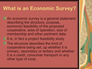 What is an Economic Survey?   <ul><li>An economic survey is a general statement describing the structure, purpose, economi...
