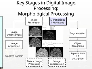 Key Stages in Digital Image
Processing:
Morphological Processing
Image
Acquisition
Image
Restoration
Morphologica
l Processing
Segmentation
Representatio
n &
Description
Image
Enhancement
Object
Recognition
Problem Domain
Colour Image
Processing
Image
Compression
Images
taken
from
Gonzalez
&
Woods,
Digital
Image
Processing
(2002)
 