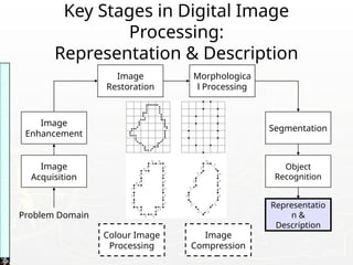 Key Stages in Digital Image
Processing:
Representation & Description
Image
Acquisition
Image
Restoration
Morphologica
l Processing
Segmentation
Representatio
n &
Description
Image
Enhancement
Object
Recognition
Problem Domain
Colour Image
Processing
Image
Compression
Images
taken
from
Gonzalez
&
Woods,
Digital
Image
Processing
(2002)
 