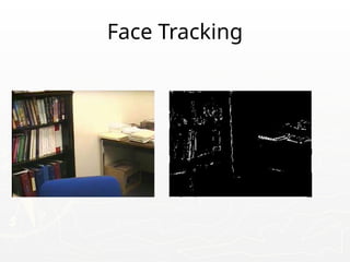 Face Tracking
 