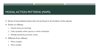 PSYC214 lecture slides for mid-sem exam (weeks 1-6) | PDF