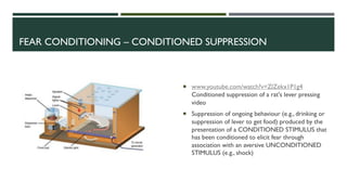 PSYC214 lecture slides for mid-sem exam (weeks 1-6) | PDF