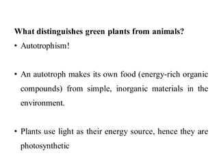 What distinguishes green plants from animals?
• Autotrophism!
• An autotroph makes its own food (energy-rich organic
compounds) from simple, inorganic materials in the
environment.
• Plants use light as their energy source, hence they are
photosynthetic
 
