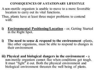 CONSEQUENCES OF A STATIONARY LIFESTYLE
A non-motile organism is unable to move to a more favorable
location to carry out its vital functions.
Thus, plants have at least three major problems to contend
with:
i) Environmental Positioning/Location - or, Getting Started
in the Right Spot.
i) The need to sense & respond to the environment -plants,
like other organisms, must be able to respond to changes in
their environment
iii) Physical and biological dangers in the environment - a
non-motile organism cannot flee when conditions get tough.
It must "fight" it out. Both the physical environment and
biological environment threaten the well being of plants.
 