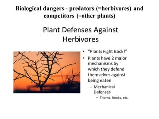 Biological dangers - predators (=herbivores) and
competitors (=other plants)
 