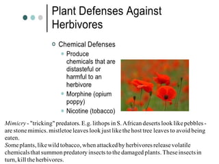 Mimicry- "tricking"predators. E.g. lithops in S. African deserts look likepebbles -
are stonemimics. mistletoeleaves look just likethehost tree leaves to avoid being
eaten.
Someplants, likewild tobacco, when attackedby herbivores releasevolatile
chemicalsthat summon predatory insects to the damaged plants. Theseinsectsin
turn, kill theherbivores.
 