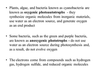 • Plants, algae, and bacteria known as cyanobacteria are
known as oxygenic photoautotrophs - they
synthesize organic molecules from inorganic materials,
use water as an electron source, and generate oxygen
as an end product
• Some bacteria, such as the green and purple bacteria,
are known as anoxygenic phototrophs - do not use
water as an electron source during photosynthesis and,
as a result, do not evolve oxygen
• The electrons come from compounds such as hydrogen
gas, hydrogen sulfide, and reduced organic molecules
 