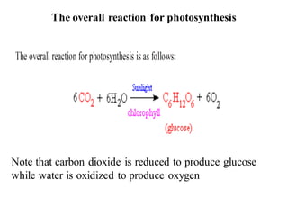 The overall reaction for photosynthesis
Note that carbon dioxide is reduced to produce glucose
while water is oxidized to produce oxygen
 
