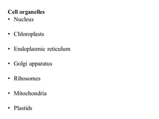Cell organelles
• Nucleus
• Chloroplasts
• Endoplasmic reticulum
• Golgi apparatus
• Ribosomes
• Mitochondria
• Plastids
 