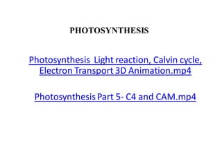PHOTOSYNTHESIS
Photosynthesis Light reaction, Calvin cycle,
Electron Transport 3D Animation.mp4
PhotosynthesisPart 5- C4 and CAM.mp4
 
