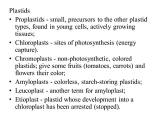 Plastids
• Proplastids - small, precursors to the other plastid
types, found in young cells, actively growing
tissues;
• Chloroplasts - sites of photosynthesis (energy
capture).
• Chromoplasts - non-photosynthetic, colored
plastids; give some fruits (tomatoes, carrots) and
flowers their color;
• Amyloplasts - colorless, starch-storing plastids;
• Leucoplast - another term for amyloplast;
• Etioplast - plastid whose development into a
chloroplast has been arrested (stopped).
 