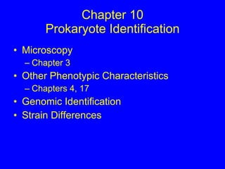 Chapter 10 Prokaryote Identification ,[object Object],[object Object],[object Object],[object Object],[object Object],[object Object]