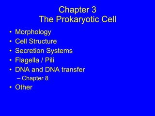 Chapter 3 The Prokaryotic Cell ,[object Object],[object Object],[object Object],[object Object],[object Object],[object Object],[object Object]