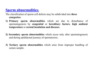 Sperm Condition Embryology_Gametogenle_reproductive.pptx