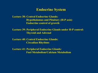 Endocrine SystemEndocrine System
Lecture 38: Central Endocrine Glands:Lecture 38: Central Endocrine Glands:
Hypothalamus and Pituitary (H-P axis)Hypothalamus and Pituitary (H-P axis)
Endocrine control of growthEndocrine control of growth
Lecture 39: Peripheral Endocrine Glands under H-P control:Lecture 39: Peripheral Endocrine Glands under H-P control:
Thyroid and AdrenalThyroid and Adrenal
Lecture 40: Central Endocrine Glands:Lecture 40: Central Endocrine Glands:
Circadian RhythmsCircadian Rhythms
Lecture 41: Peripheral Endocrine Glands:Lecture 41: Peripheral Endocrine Glands:
Fuel Metabolism/Calcium MetabolismFuel Metabolism/Calcium Metabolism
 