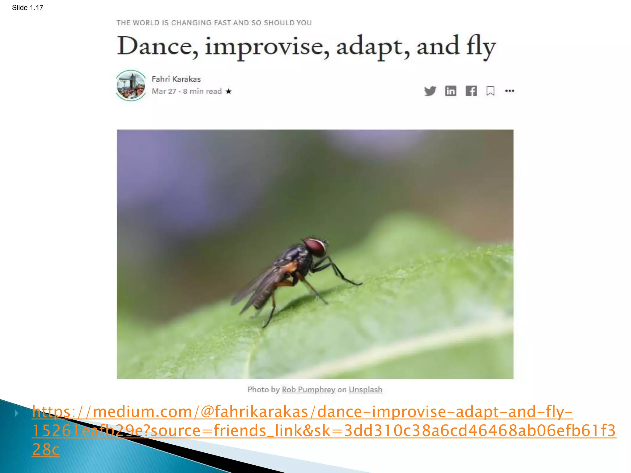 Slide 1.17
 https://medium.com/@fahrikarakas/dance-improvise-adapt-and-fly-
15261eafb29e?source=friends_link&sk=3dd310c38a6cd46468ab06efb61f3
28c
 
