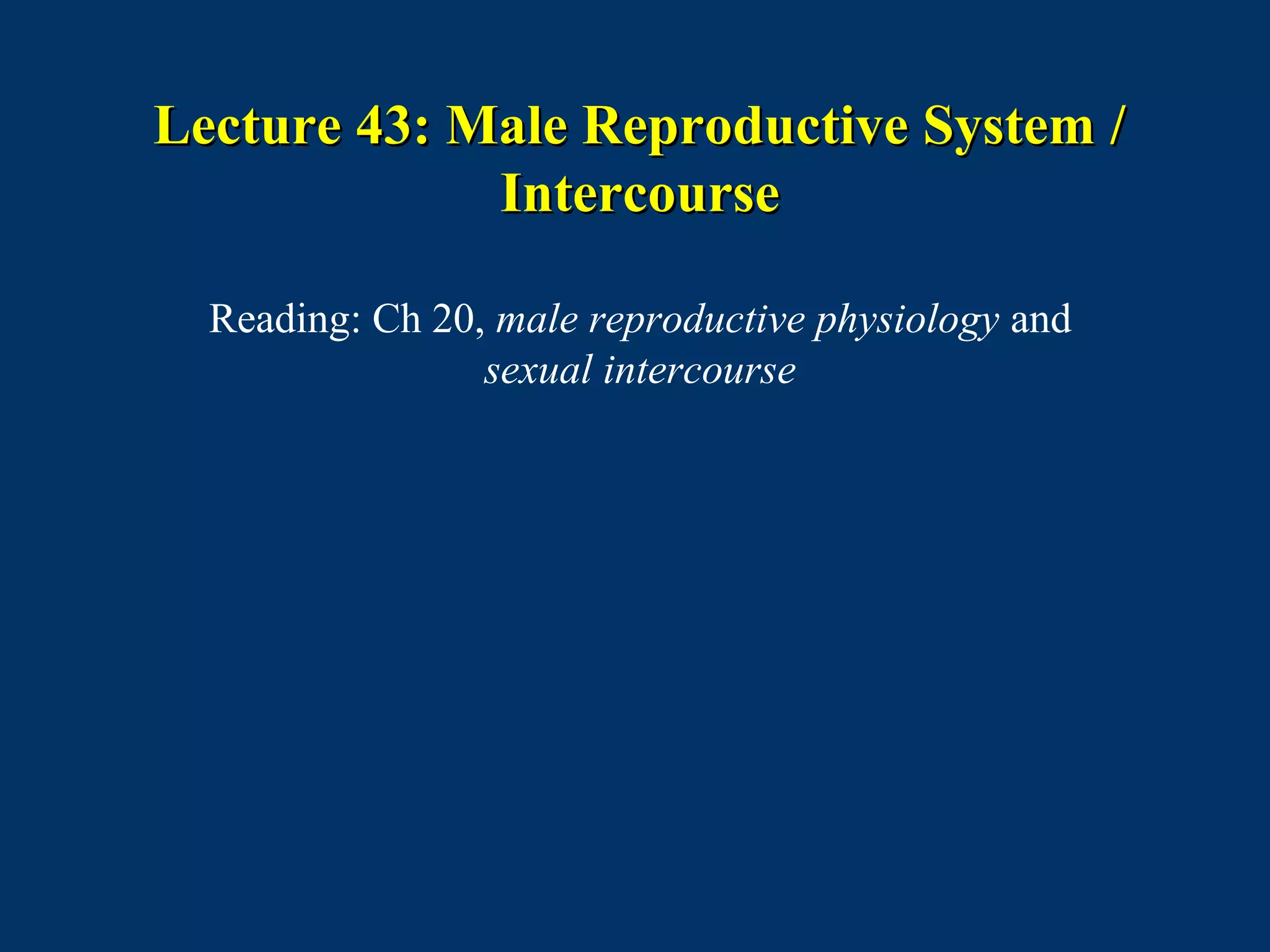 Lecture 43: Male Reproductive System /Lecture 43: Male Reproductive System /
IntercourseIntercourse
Reading: Ch 20, male reproductive physiology and
sexual intercourse
 