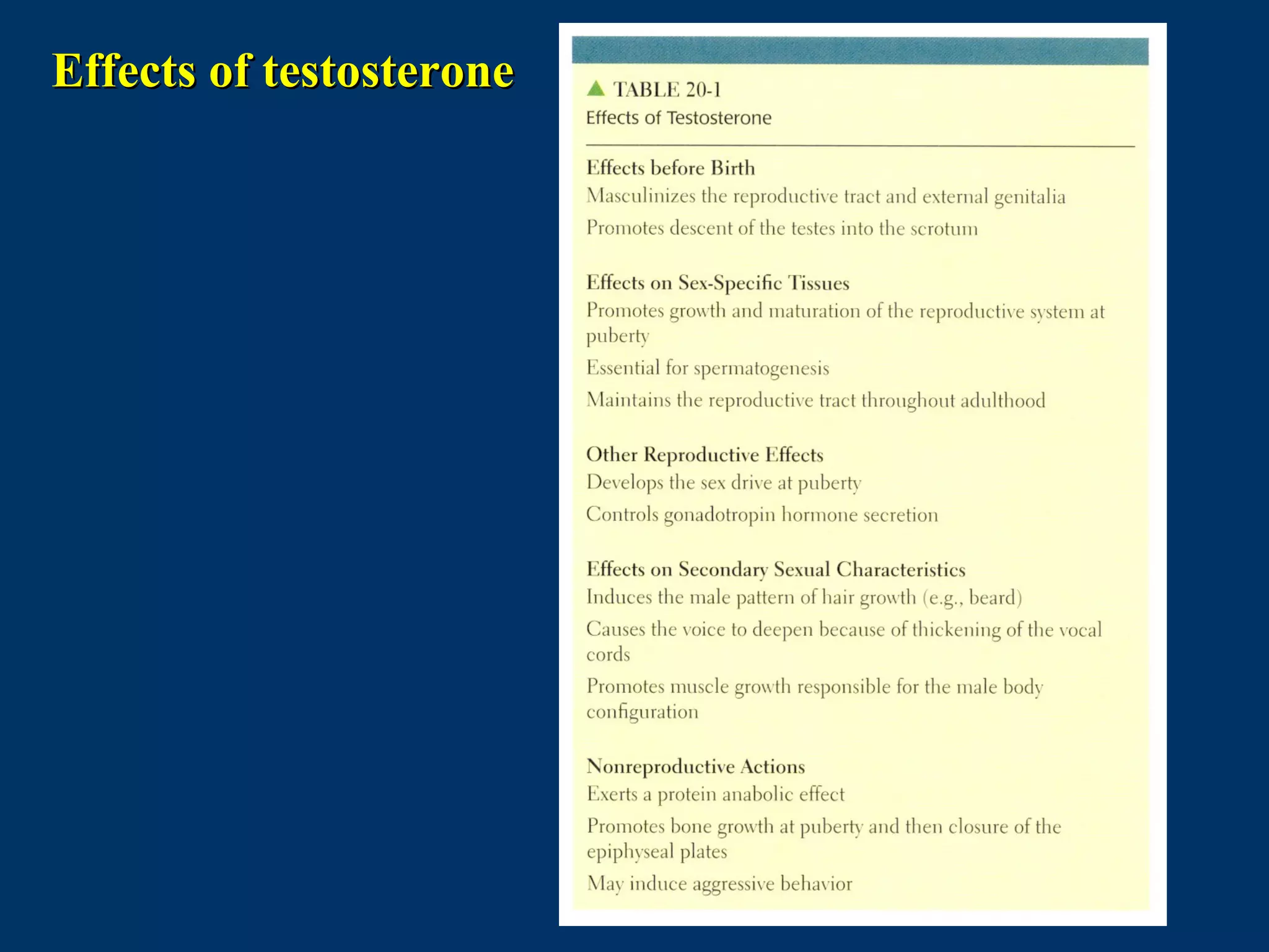 Effects of testosteroneEffects of testosterone
 