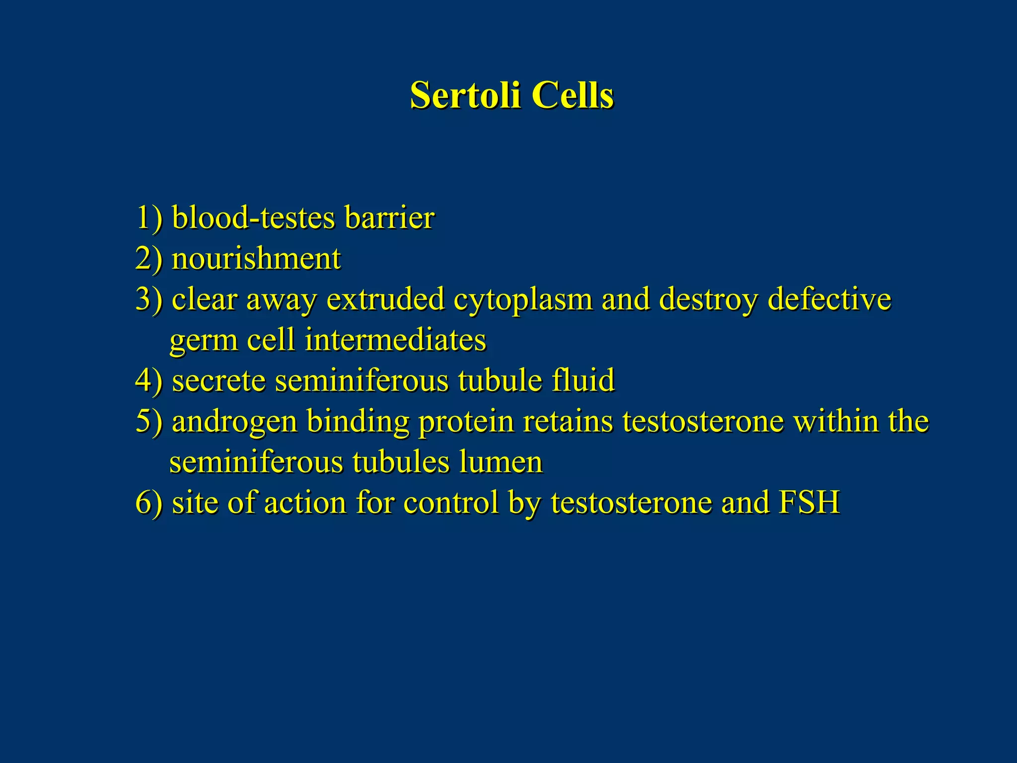 1)1) blood-testes barrierblood-testes barrier
2)2) nourishmentnourishment
3)3) clear away extruded cytoplasm and destroy defectiveclear away extruded cytoplasm and destroy defective
germ cell intermediatesgerm cell intermediates
4)4) secrete seminiferous tubule fluidsecrete seminiferous tubule fluid
5)5) androgen binding protein retains testosterone within theandrogen binding protein retains testosterone within the
seminiferous tubules lumenseminiferous tubules lumen
6)6) site of action for control by testosterone and FSHsite of action for control by testosterone and FSH
Sertoli CellsSertoli Cells
 