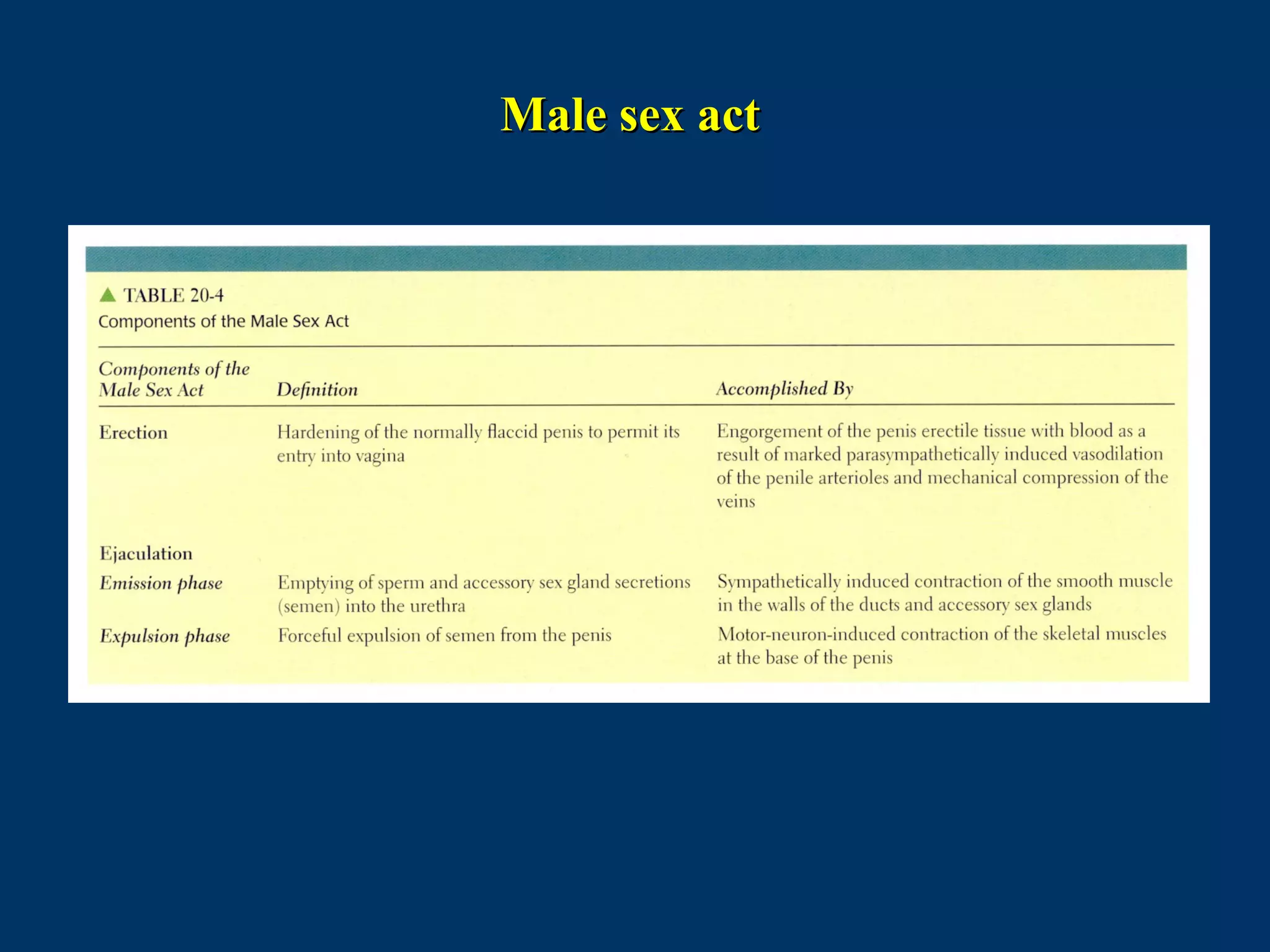 Male sex actMale sex act
 