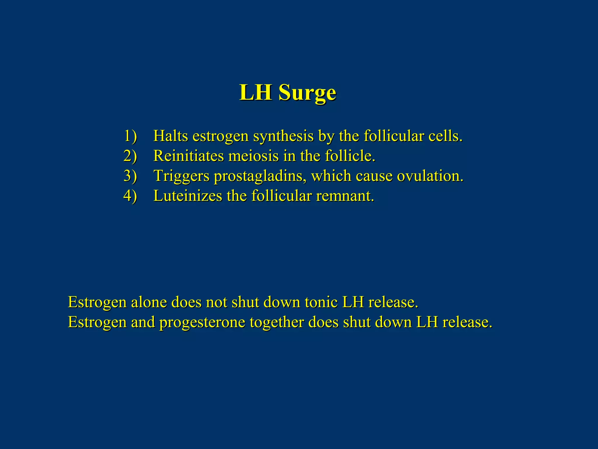LH SurgeLH Surge
1)1) Halts estrogen synthesis by the follicular cells.Halts estrogen synthesis by the follicular cells.
2)2) Reinitiates meiosis in the follicle.Reinitiates meiosis in the follicle.
3)3) Triggers prostagladins, which cause ovulation.Triggers prostagladins, which cause ovulation.
4)4) Luteinizes the follicular remnant.Luteinizes the follicular remnant.
Estrogen alone does not shut down tonic LH release.Estrogen alone does not shut down tonic LH release.
Estrogen and progesterone together does shut down LH release.Estrogen and progesterone together does shut down LH release.
 