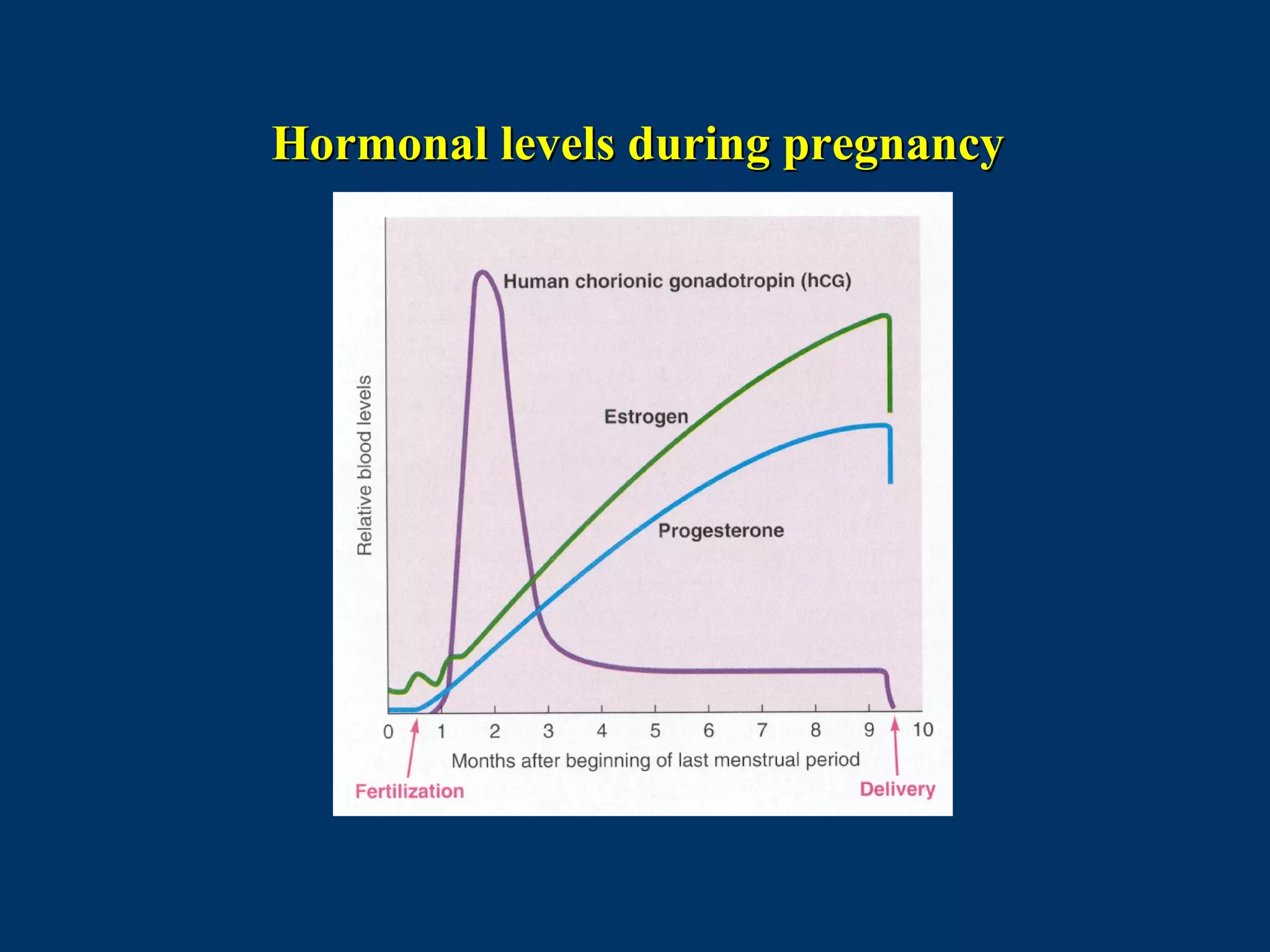 Hormonal levels during pregnancyHormonal levels during pregnancy
 