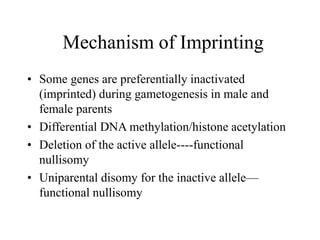 CYTOGENETICS LECTURE POWERPOINT PRESENTATION | PPT