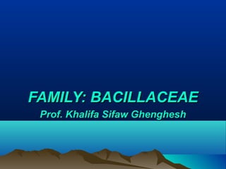 ‫مممممم‬ ‫مممممم‬ ‫مممم‬ ‫ممم‬‫مممممم‬ ‫مممممم‬ ‫مممم‬ ‫ممم‬
FAMILY: BACILLACEAEFAMILY: BACILLACEAE
Prof. Khalifa Sifaw GhengheshProf. Khalifa Sifaw Ghenghesh
 