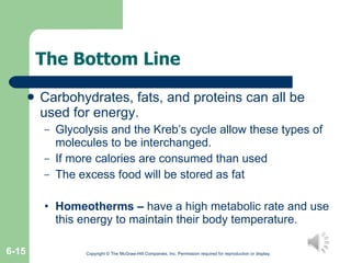The Bottom Line Carbohydrates, fats, and proteins can all be used for energy. Glycolysis and the Kreb’s cycle allow these types of molecules to be interchanged. If more calories are consumed than used The excess food will be stored as fat Homeotherms –  have a high metabolic rate and use this energy to maintain their body temperature. Copyright © The McGraw-Hill Companies, Inc. Permission required for reproduction or display. 6- 