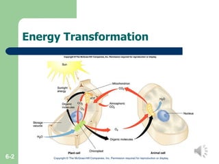 Energy Transformation Copyright © The McGraw-Hill Companies, Inc. Permission required for reproduction or display. 6- 