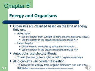 Energy and Organisms ,[object Object],[object Object],[object Object],[object Object],[object Object],[object Object],[object Object],[object Object],[object Object],[object Object],[object Object],Copyright © The McGraw-Hill Companies, Inc. Permission required for reproduction or display. 6- Chapter 6 