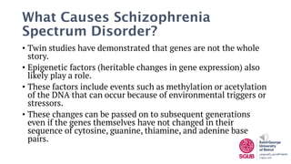 Lecture Schizophrenia Spectrum and Other Psychotic Disorders.pdf