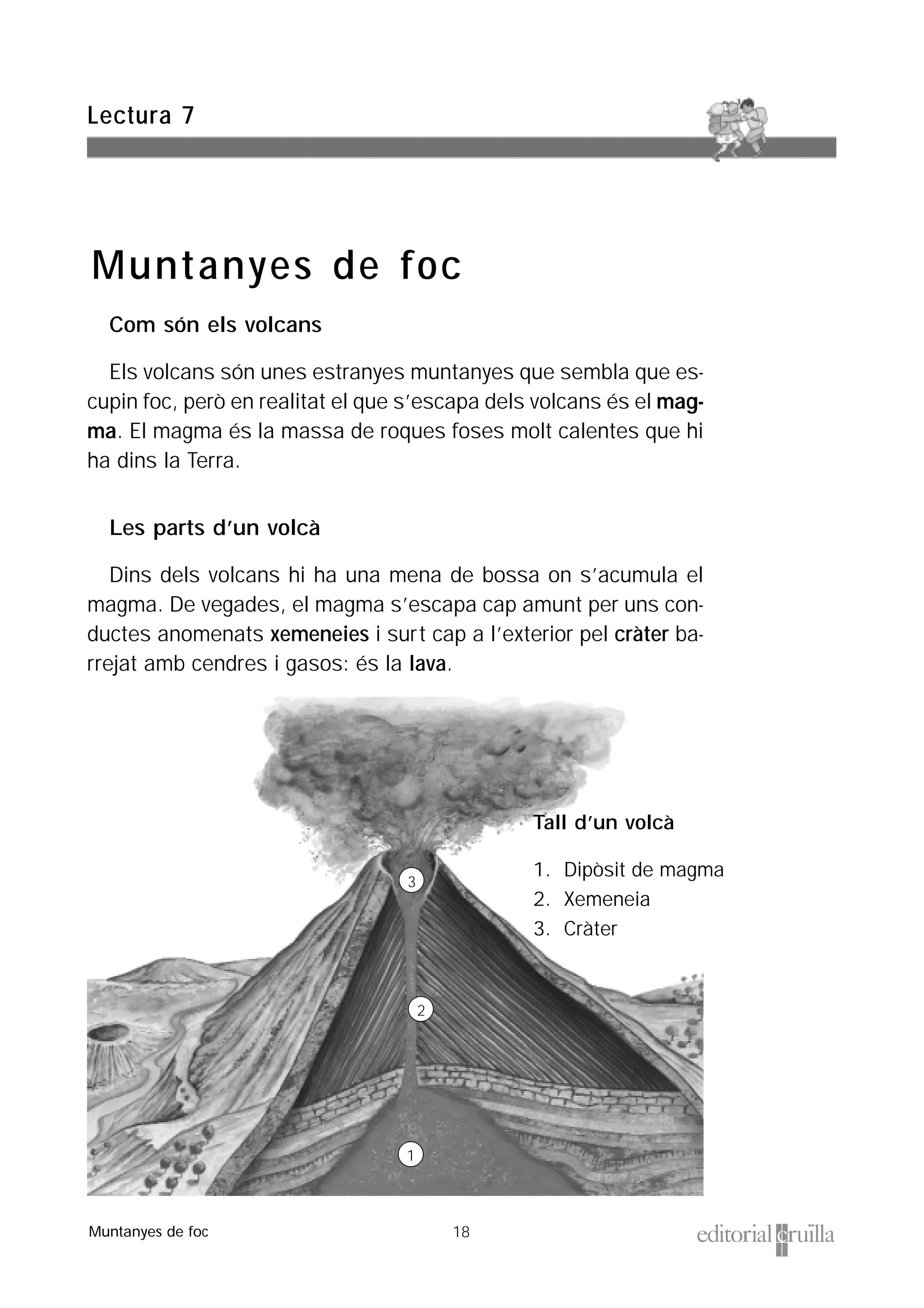 18
Lectura 7
Muntanyes de foc
Muntanyes de foc
Tall d’un volcà
1. Dipòsit de magma
2. Xemeneia
3. Cràter
1
2
3
Com són els volcans
Els volcans són unes estranyes muntanyes que sembla que es-
cupin foc, però en realitat el que s’escapa dels volcans és el mag-
ma. El magma és la massa de roques foses molt calentes que hi
ha dins la Terra.
Les parts d’un volcà
Dins dels volcans hi ha una mena de bossa on s’acumula el
magma. De vegades, el magma s’escapa cap amunt per uns con-
ductes anomenats xemeneies i surt cap a l’exterior pel cràter ba-
rrejat amb cendres i gasos: és la lava.
 