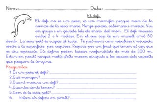 Nom:................................................................... Data: ..............................................
El dofí
El dofí no és un peix, és un mamífer perquè neix de la
panxa de la seva mare. Menja peixos, calamars i marisc. Viu
en grups i en gairebé tots els mars del món. El dofí mesura
entre 2 i 4 metres. En el seu cap té un musell amb 80
dents. La seva pell és rugosa al tacte. Té pulmons com nosaltres i necessita
sortir a la superfície per respirar. Respira per un forat que tenen al cap que
es diu espiracle. Els dofins poden baixar profunditats de més de 300 m.
Estan en perill perquè molts d'ells moren atrapats a les xarxes dels vaixells
que pesquen la tonyina.
Preguntes:
1. És un peix el dofí?......................................................................................................
2.Què mengen?................................................................................................................
3.Quant mesura un dofí?...........................................................................................
4.Quantes dents tenen? .............................................................................................
5.Com és la seva pell?...................................................................................................
6. Estan els dofins en perill?.............................................................................
 