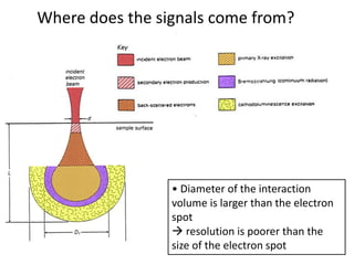 Lecture Scanning electron microscopy and its uses | PDF