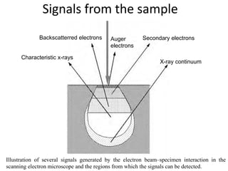 Lecture Scanning electron microscopy and its uses | PDF