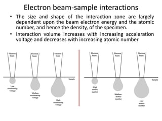 Lecture Scanning electron microscopy and its uses | PDF