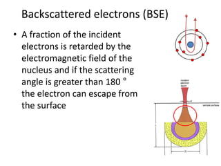 Lecture Scanning electron microscopy and its uses | PDF