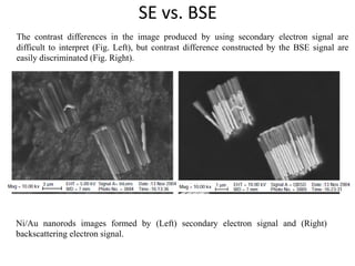 Lecture Scanning electron microscopy and its uses | PDF
