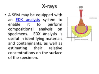 Lecture Scanning electron microscopy and its uses | PDF