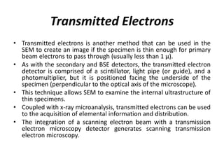 Lecture Scanning electron microscopy and its uses | PDF