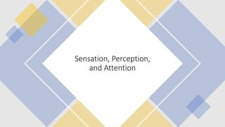 Sensation, Perception,
and Attention
 