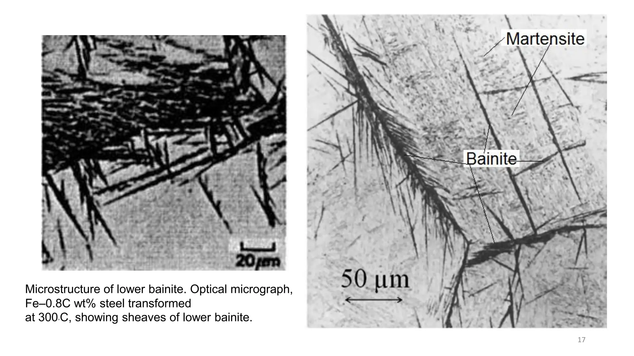 17
Microstructure of lower bainite. Optical micrograph,
Fe–0.8C wt% steel transformed
at 300◦C, showing sheaves of lower bainite.
 